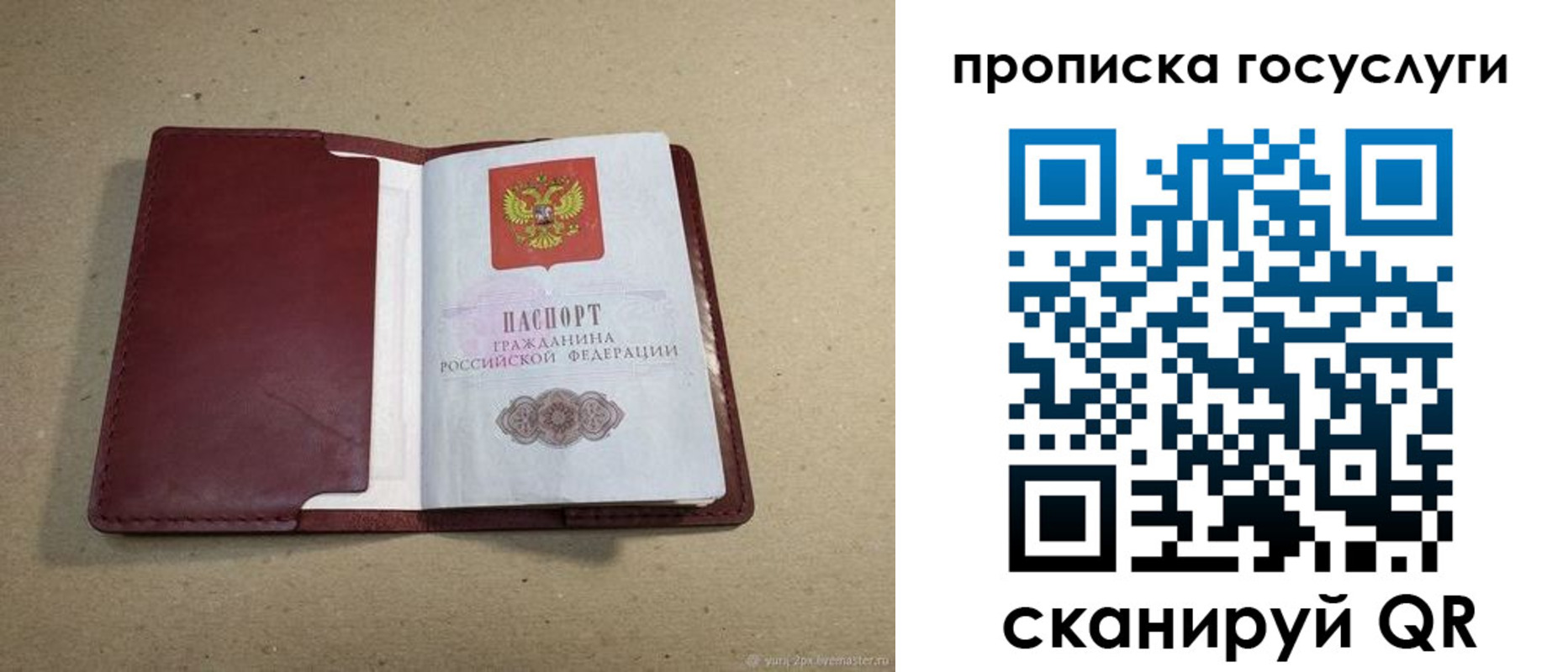 прописка поиск в Сельцо